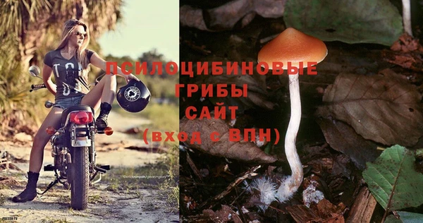 прущие крисы Ельня