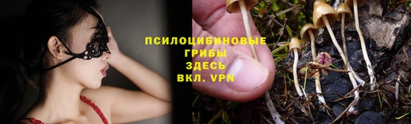 каннабис Каменногорск