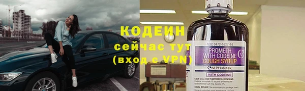 ГАЛЛЮЦИНОГЕННЫЕ ГРИБЫ Балахна