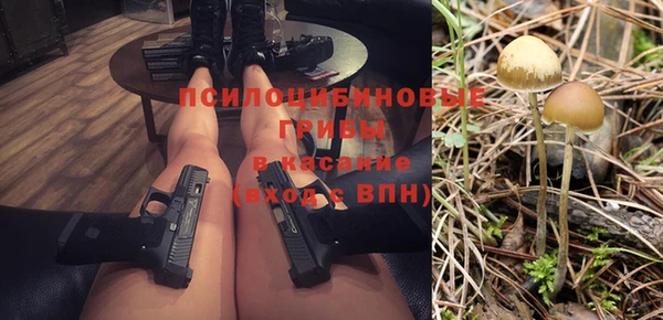 ешки Каменка